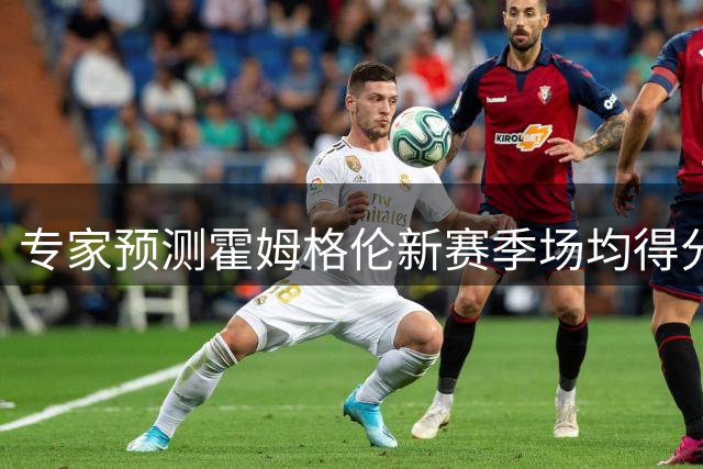 专家预测霍姆格伦新赛季场均得分有望突破20大关