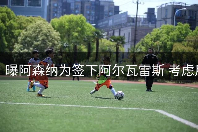 曝阿森纳为签下阿尔瓦雷斯 考虑用约克雷斯做交换筹码