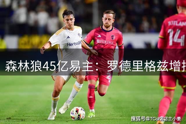 森林狼45亿易主：罗德里格兹增持留守，洛尔退出